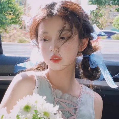 燕子盗